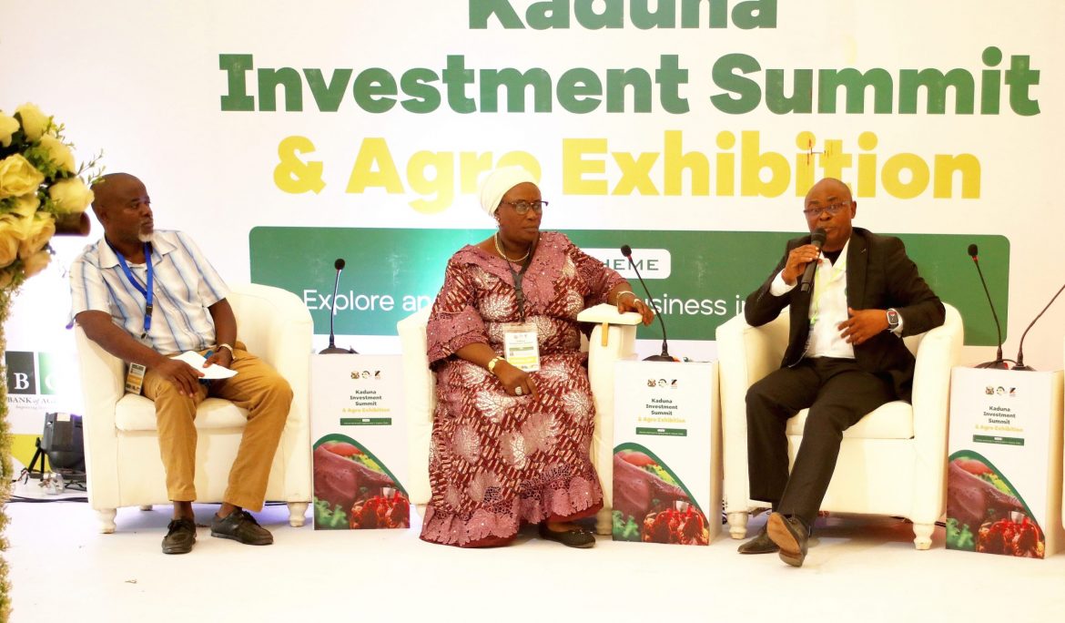 Kaduna Investment Summit