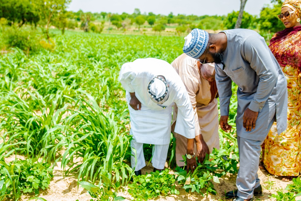 Renewed Hope Wet Season Input Disbursement